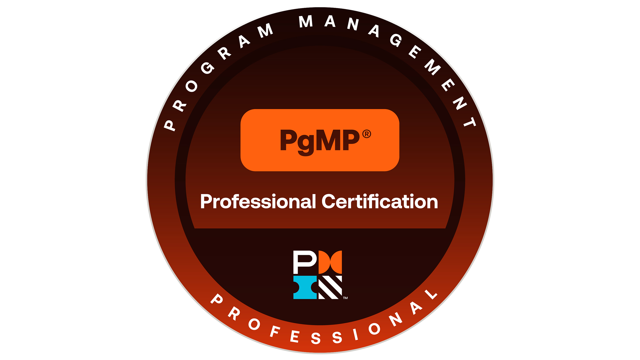  Program Management Professional (PgMP)®